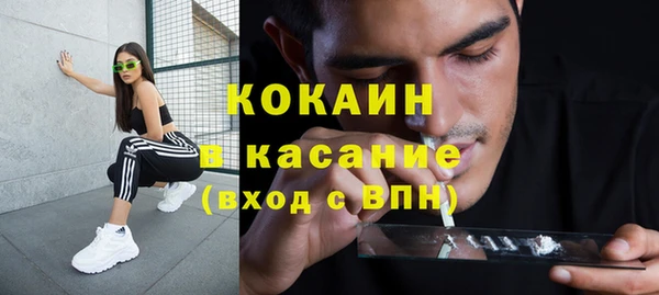 шишки Беломорск