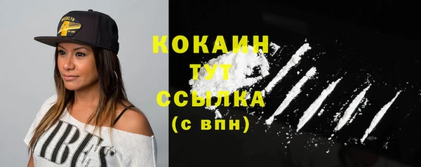 шишки Белоозёрский