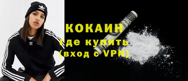 шишки Беломорск