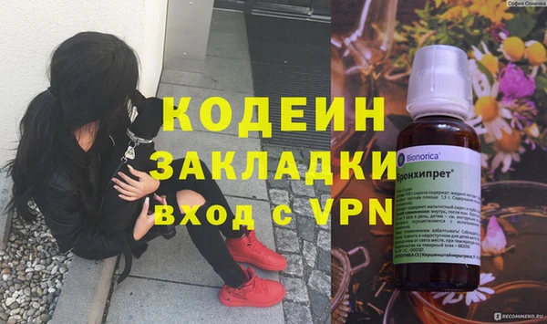хмурый Белокуриха
