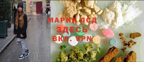 хмурый Белокуриха