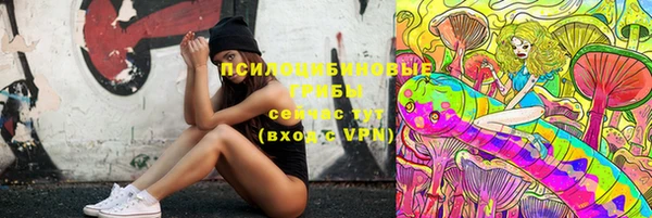 хмурый Белокуриха