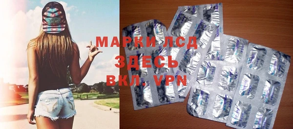 хмурый Белокуриха