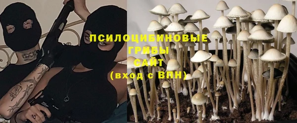 шишки Беломорск