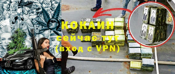 шишки Белоозёрский