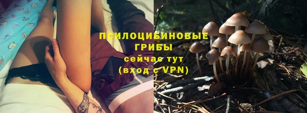 кокаин Богданович