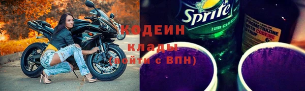 хмурый Белокуриха
