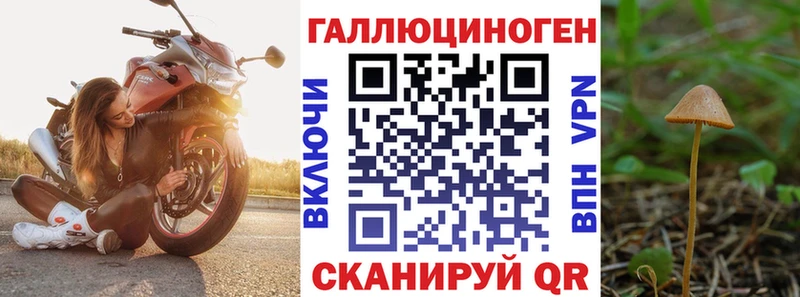купить закладку  Кушва  Галлюциногенные грибы Psilocybe 