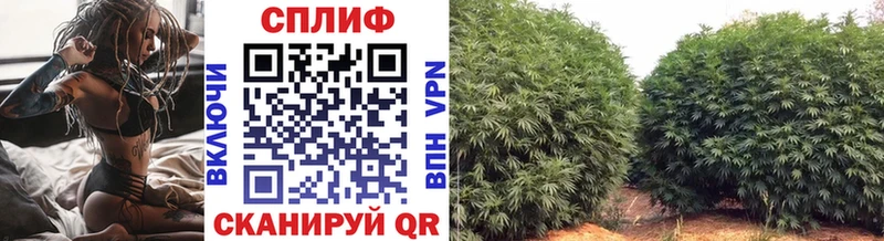 Канабис марихуана  Кушва 